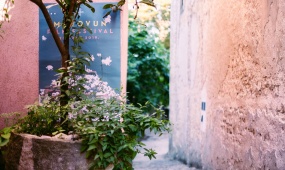 Motovun Film Festival
