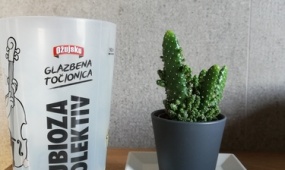 DUBIOZA KOLEKTIV, Arena Pula 2019