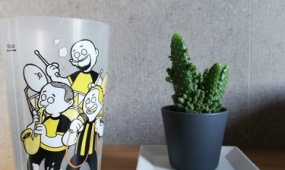 DUBIOZA KOLEKTIV, Arena Pula 2019