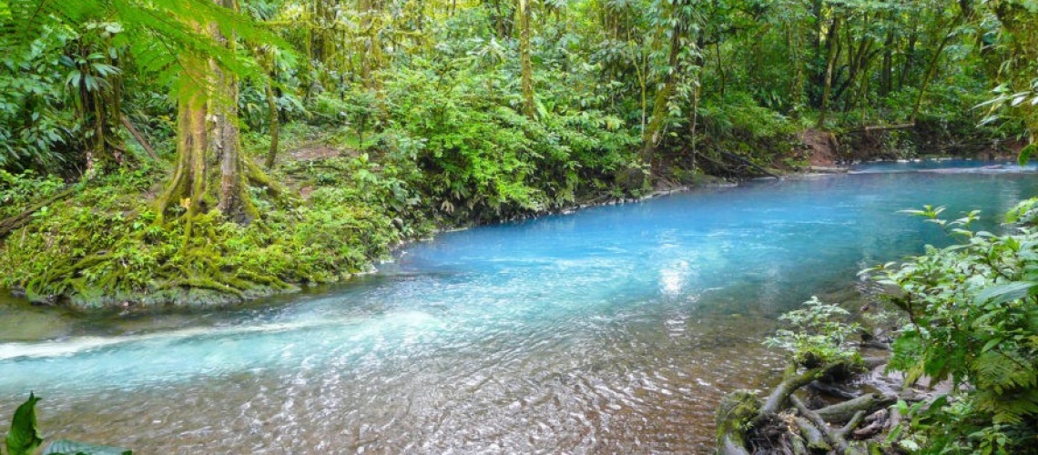 Costa Rica aims to become the first country to ban all single-use plastics